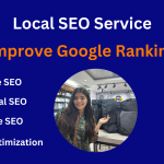 Professional SEO Service Provider