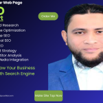 Professional SEO Service Provider